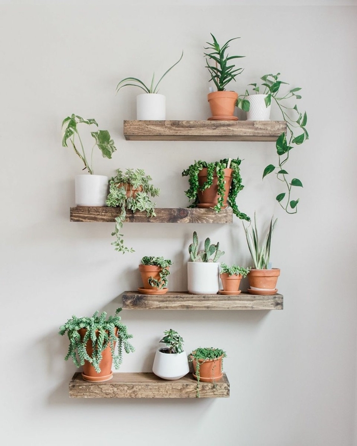 idée comment créer un mur végétal avec étagère diy planches bois mini pots fleur terre cuite succulentes