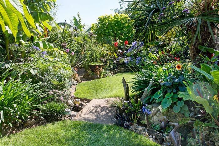 jardin paysager modele avec gazon vert et des plantes exotiques en bordure vegetation abondante