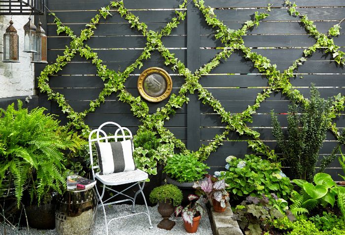 mur de cloture maison planches de bois peinture noire et guirlande verte plantes en pots et parterre de plantes sol gravier chaise metallique table service