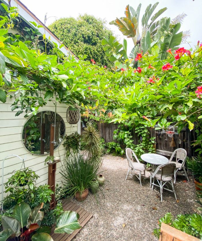 palissade de bois végétalisée avec des plantes tropicales autour coin repas chaises et table ronde plantes en pot gravier de jardin