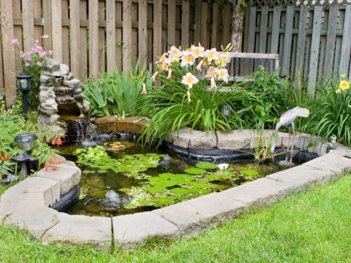 petit bassin de jardin naturel style jardin zen entouré de végétation et avec nympheas cloture de bois gazon vert