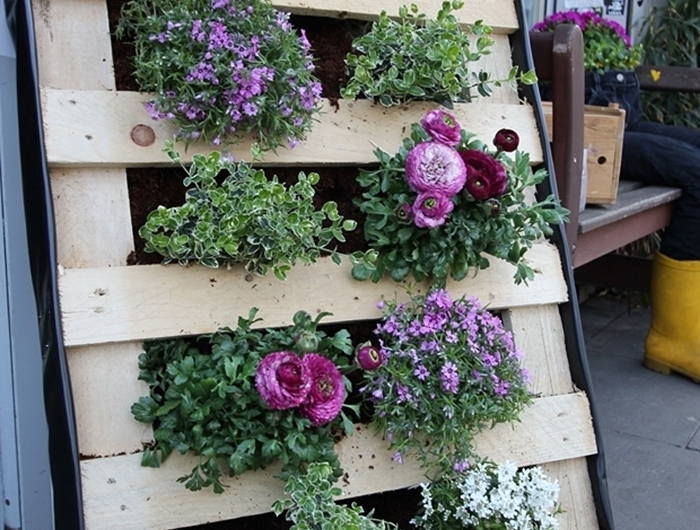 plantes pour mur végétal extérieur construction mur en palette pour plantes terreau textile jardinage