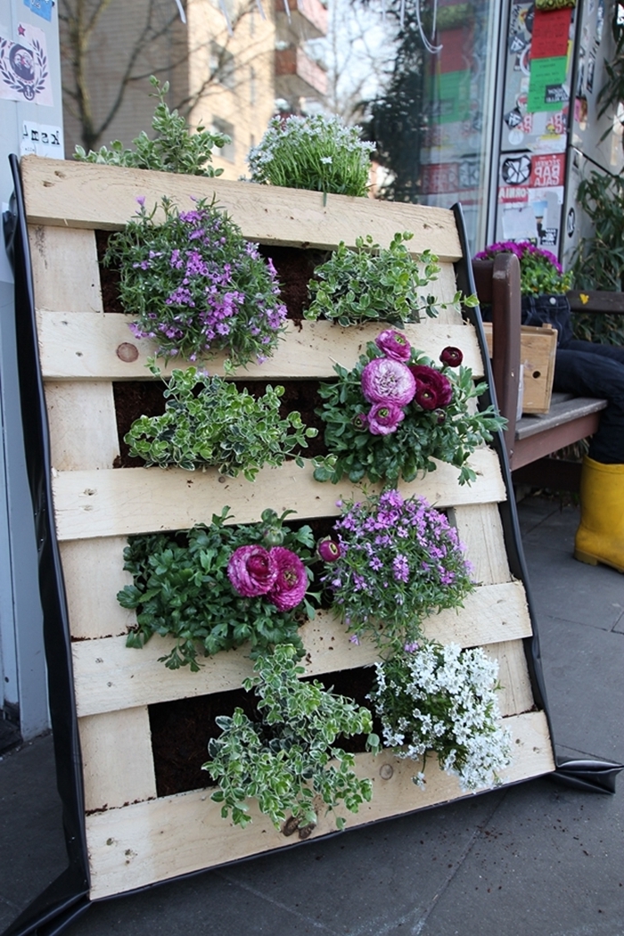 plantes pour mur végétal extérieur construction mur en palette pour plantes terreau textile jardinage