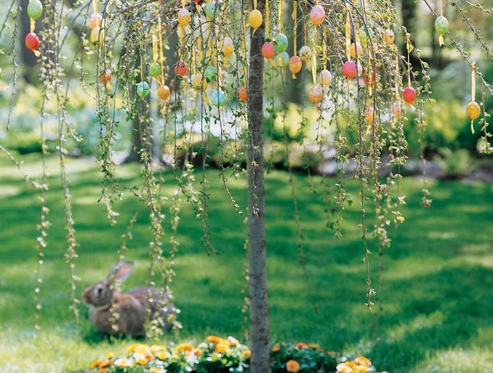 un arbre dans le jardin avec des oeufs multicolorés accrochées un lapin dans l herbe en arrière