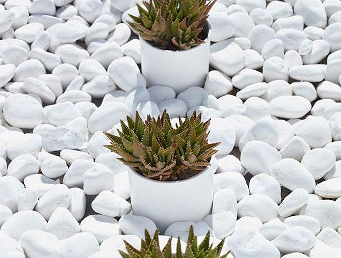 un exemple de décoration jardin avec galets blanc autour des succulents dans des pots a fleur