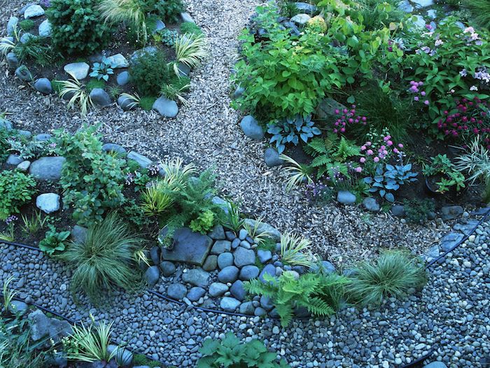 un jardin avec des zones de plantes vertes et des pierres décoratives