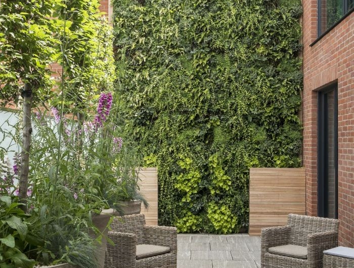 amenagement jungle urbain avec mur de lierre et arbre persistant brise vue mur de briques salon de jardin cour en ville