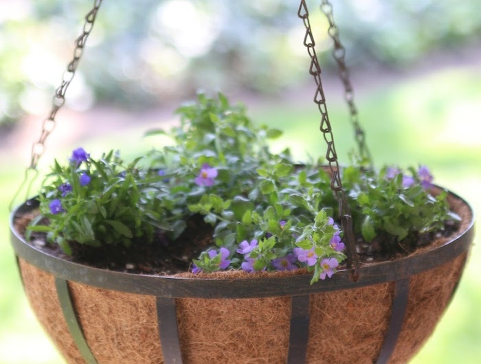 astuces de jardin des fleurs violets plantes dans un pot suspendu