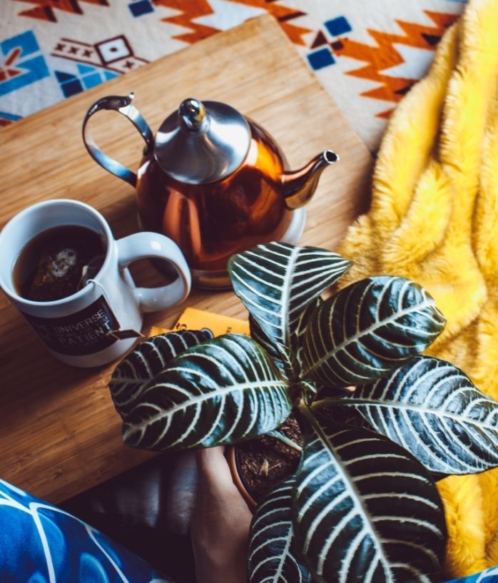 coffret cosy de plante verte plateau service plaid jaune bouilloire thé et tasse de thé, idée cadeau pour maman