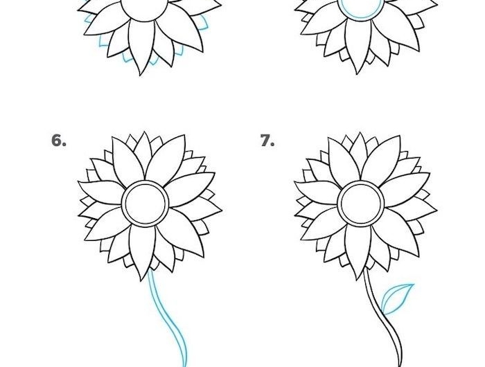 comment dessiner une fleur étape par étape simple marguerite à faire au crayon facilement