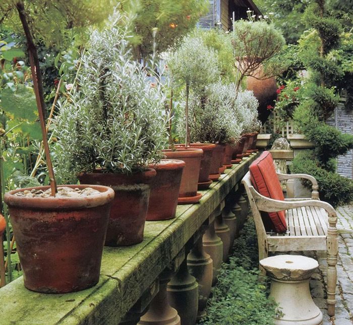 des pots a fleurs avec des herbes différents plantés idée deco veranda