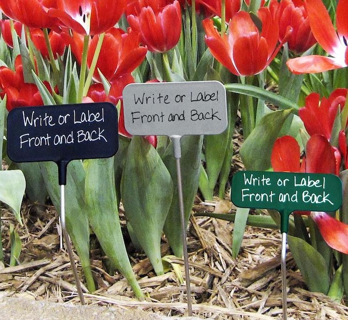 des tulipes rouges plantés dans le sol avec des écritaux pour les noms