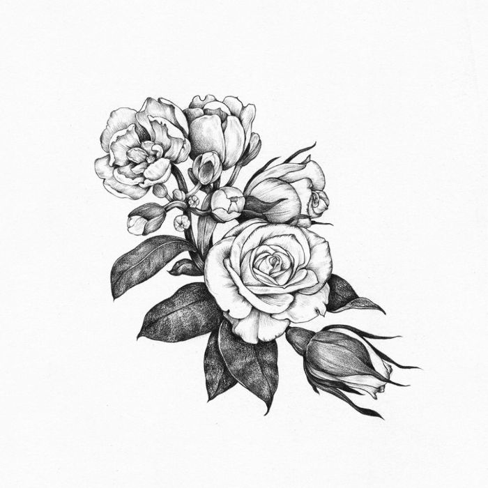 dessin rose réaliste une branche fleurie de roses ouvertes et fermées sur fond de couleur blanche