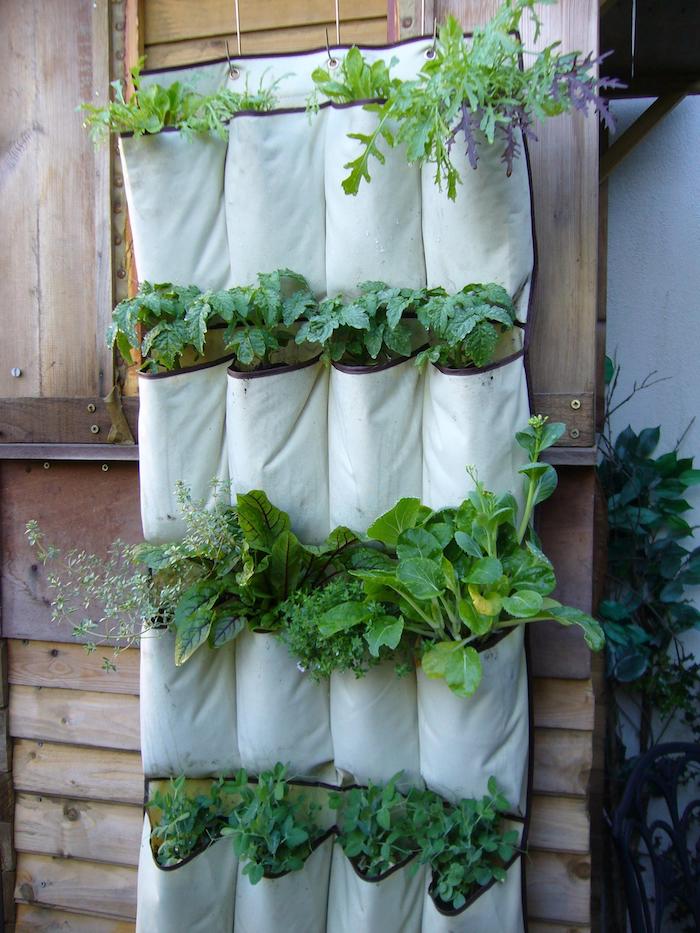 diy jardin des plantes dans une etagère en tissu avec des poches