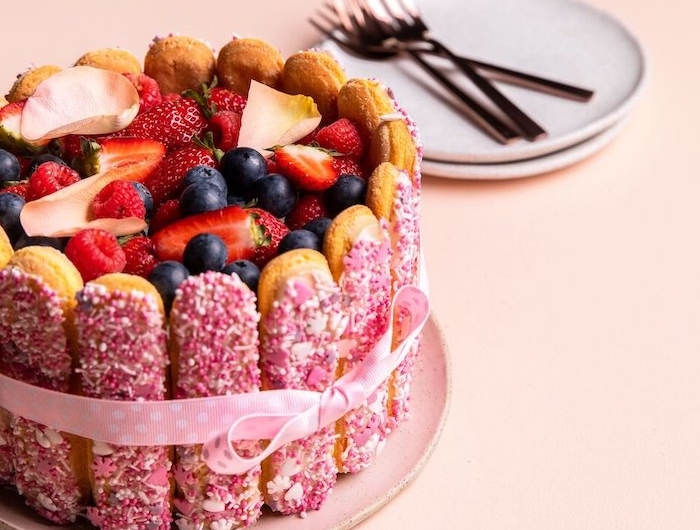 exemple de plus beau gateau au monde encerclé des biscottis et garni des fruits