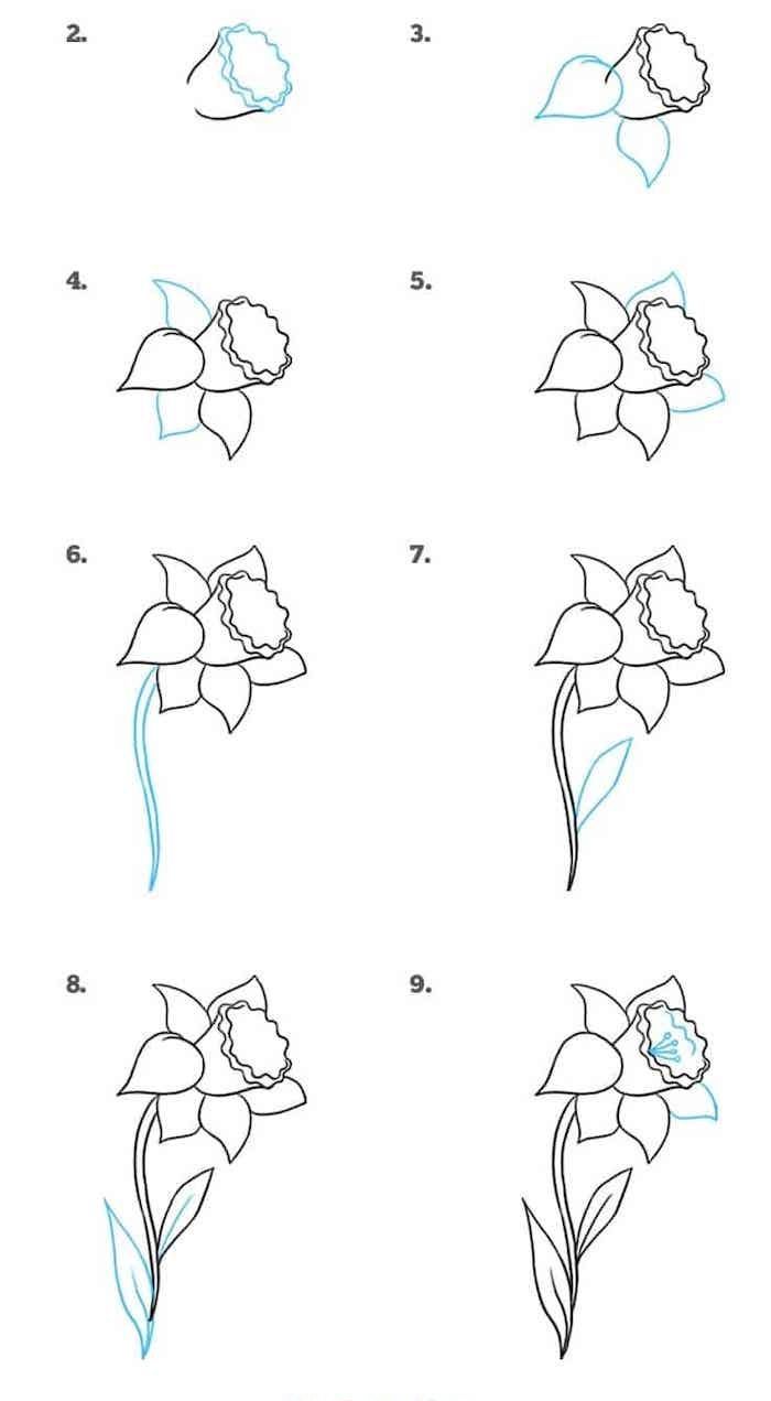 fleur de printemps comment dessiner une jonquille étape par étape pour réaliser un bouquet de fleurs de printemps