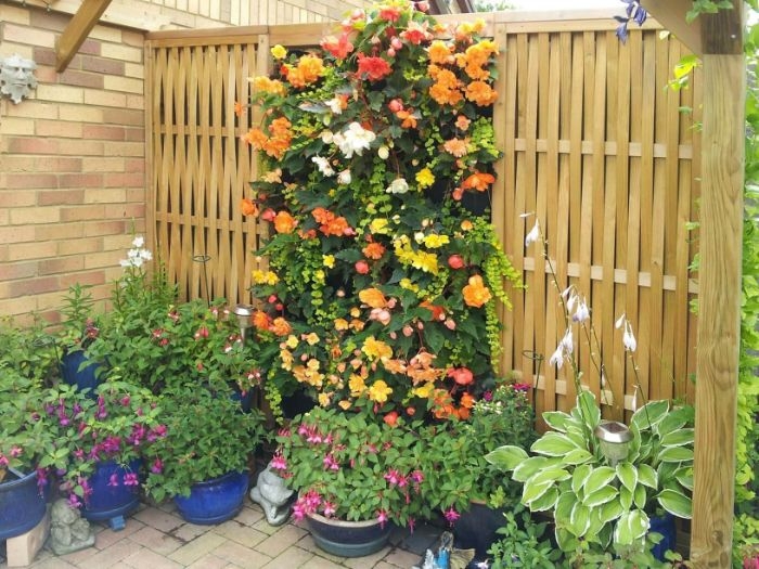 idee brise vue vegetale panneau fleuri avec des pots de fleurs autour palissade de bois blond