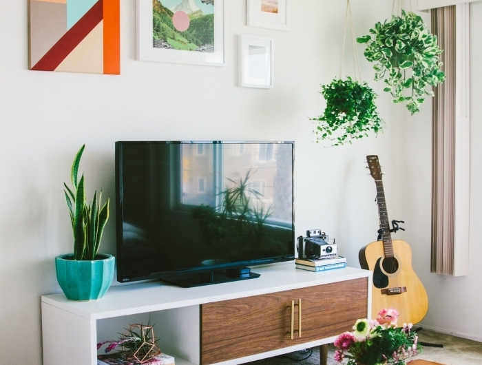 idee deco meuble tv avec plantes vertes intérieur boho moderne table basse bois foncé suspension plante