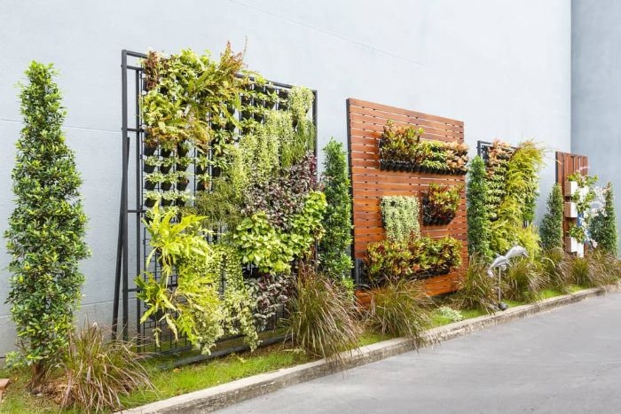idées pour des laternatives de cloture panneaux de bois mur végétal vertical avec des pots de fleurs autres feuillages