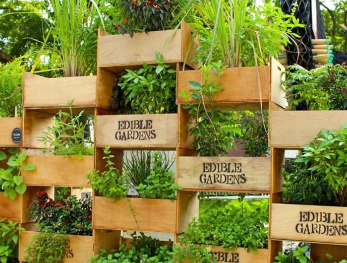 modele de jardinière brise vue avec des caissons de bois remplis de végétaux herbes superposés
