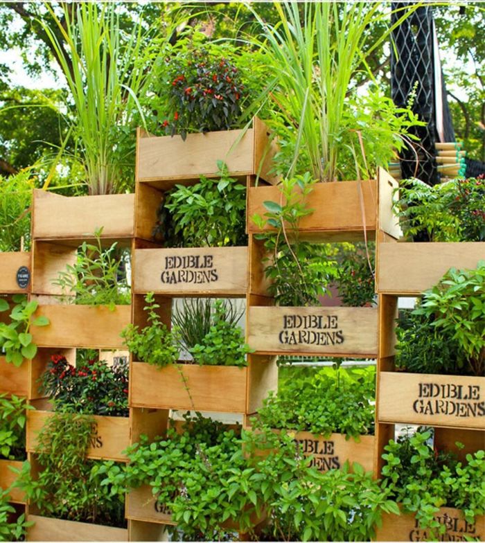 modele de jardinière brise vue avec des caissons de bois remplis de végétaux herbes superposés