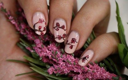 modele ongle facile dessin nail art fleurs rouge vernis de base rose pastel idée manucure printemps