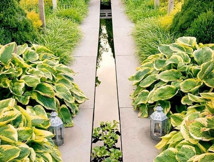 petit jardin japonais zen petit bassin plantes vertes lanterne végétation haies cloture bambou