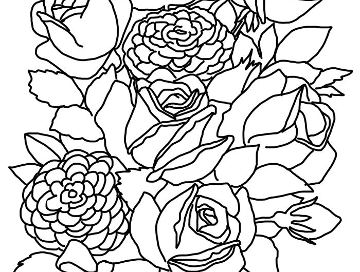 roses et autres végétaux noués d un ruban idée de coloriage enfant adulte à imprimer et colorer