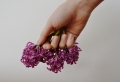 Le nail art fleur : une manucure en pleine harmonie avec la nature épanouissante