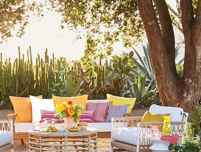 un jardin des cactus derrière un set des meubles en décoré des coussins mulicolorés