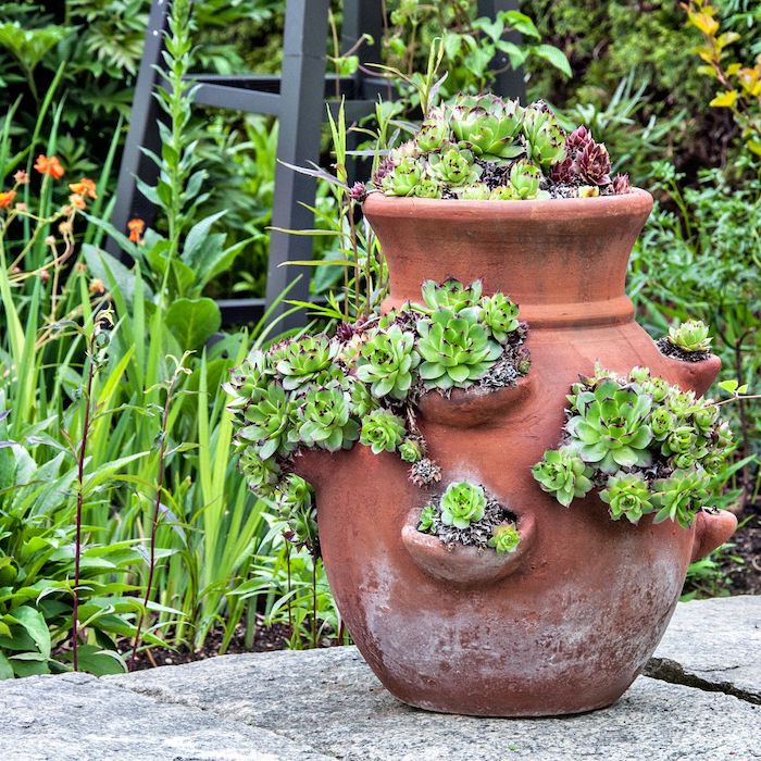 un pot a fleurs en argile avec es succulents plantés devant une abondance de verdure