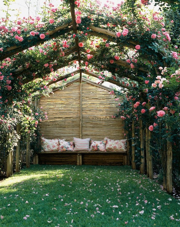 une pergola naturelle des rosiers dans le jardin au dessus d un canapé le jqrdinage pour les nuls