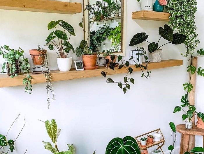 deco murale plante rangement mural ouvert étagère en bois longueur miroir cadre bois pot coloré