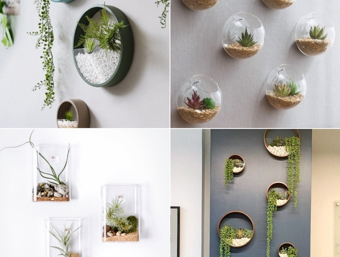 diy terrarium pour plante suspension murale décoration végétale contenant en verre succulentes