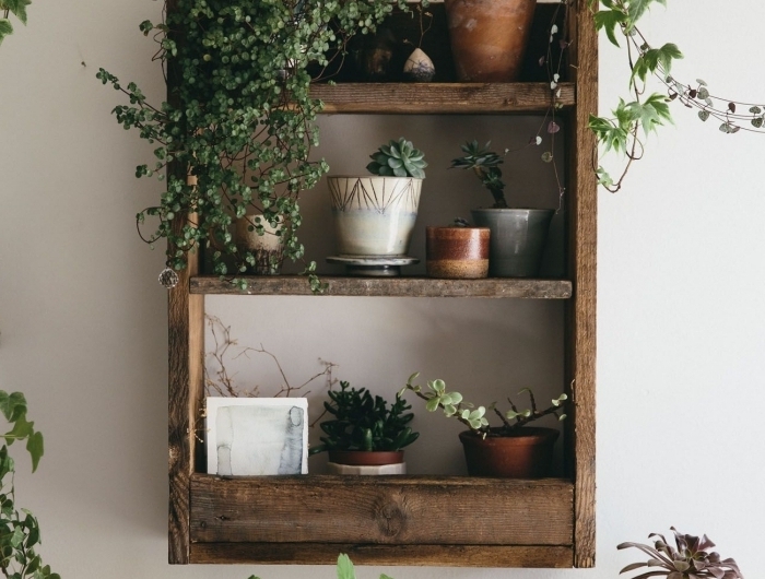 diy étagère pour plantes cadre vegetal mural construction bricolage planches bois cactus plante grimpantes