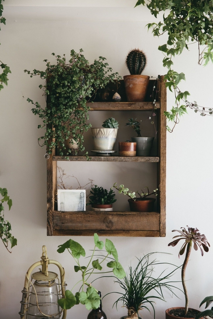 diy étagère pour plantes cadre vegetal mural construction bricolage planches bois cactus plante grimpantes