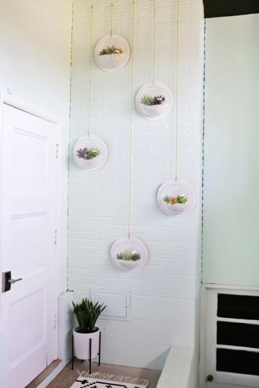décoration murale bulles terrarium pour plantes suspension design intérieur tapis blanc et noir