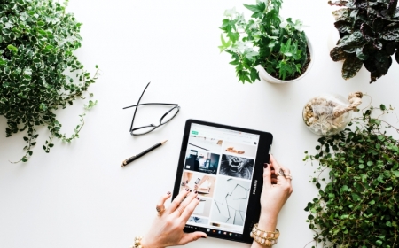 ecommerce vente en ligne distance bureau a domicile télétravail plante verte appareil