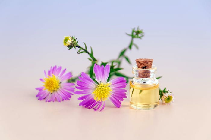 fragrances naturelles parfum bio à partir d ingrédients naturels sans parabens phtalhates