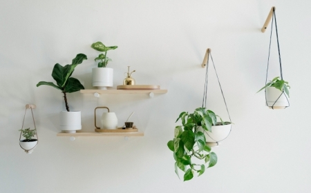 plante decoration style boho minimaliste support bois étagère pot suspendu plante monstera