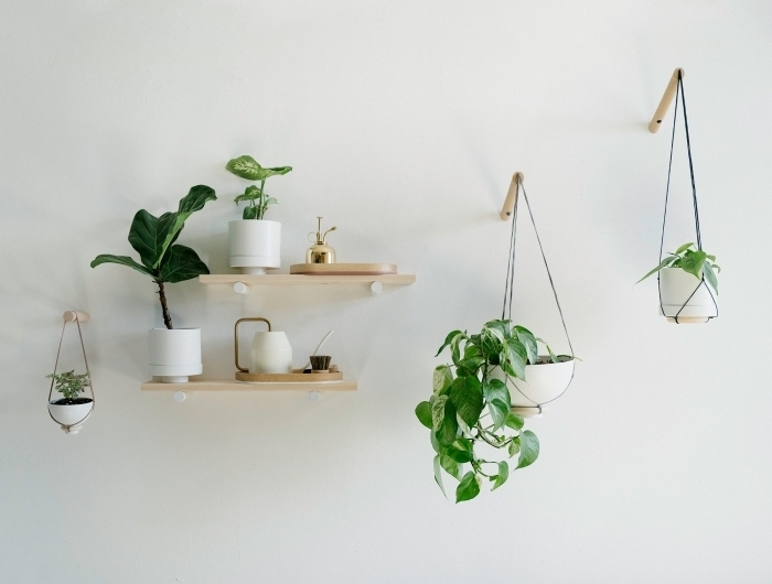 plante decoration style boho minimaliste support bois étagère pot suspendu plante monstera