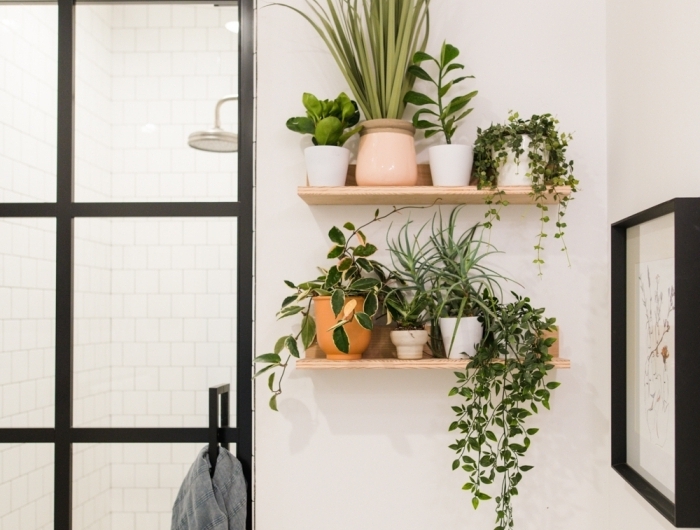 plante grimpante interieur décoration salle de bain avec plante verte rangement étagère murale bois