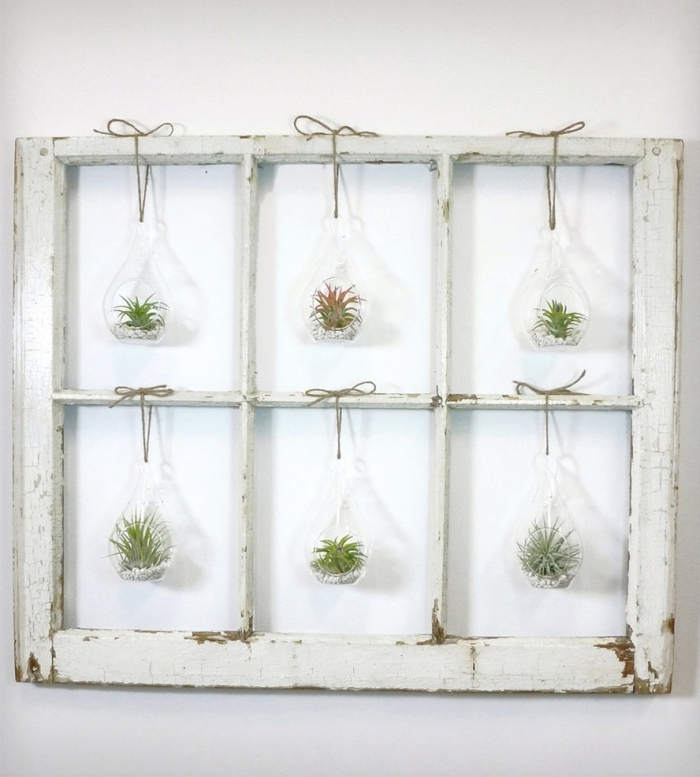 recyclage bois bricolage cadre fenêtre vintage peinture blanche cadre floral diy terrarium succulente