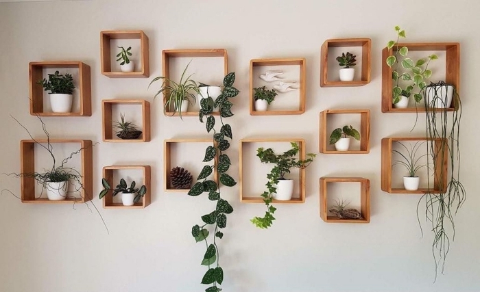 tableau vegetal diy mur d accents avec forme géométrique cadre bois pour rangement plantes