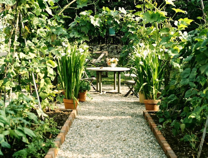 allée de jardin en gravier jardin et parterres de plantes vertes espace de repas dans le jardin