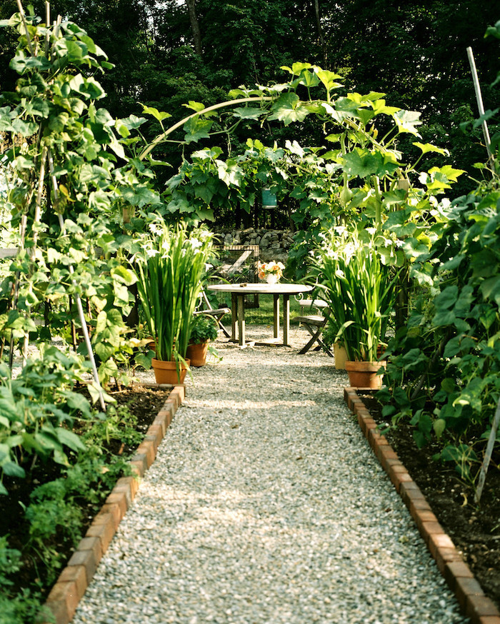 allée de jardin en gravier jardin et parterres de plantes vertes espace de repas dans le jardin