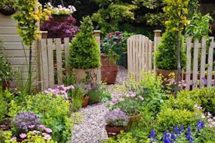 allée de jardin moderne en gravier parterres de fleurs et de plantes vertes cloison en bois