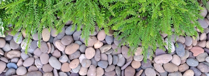 gravel stones and green