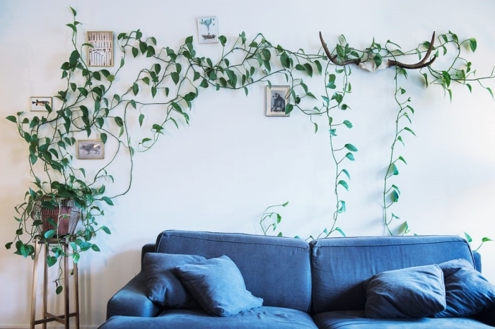 canapé bleu salon meble bois table café deco plante sur mur clips adhésifs cadres photo