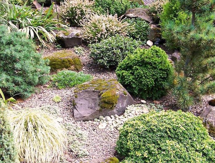 comment decorer son jardin en pierres gravier et buissons